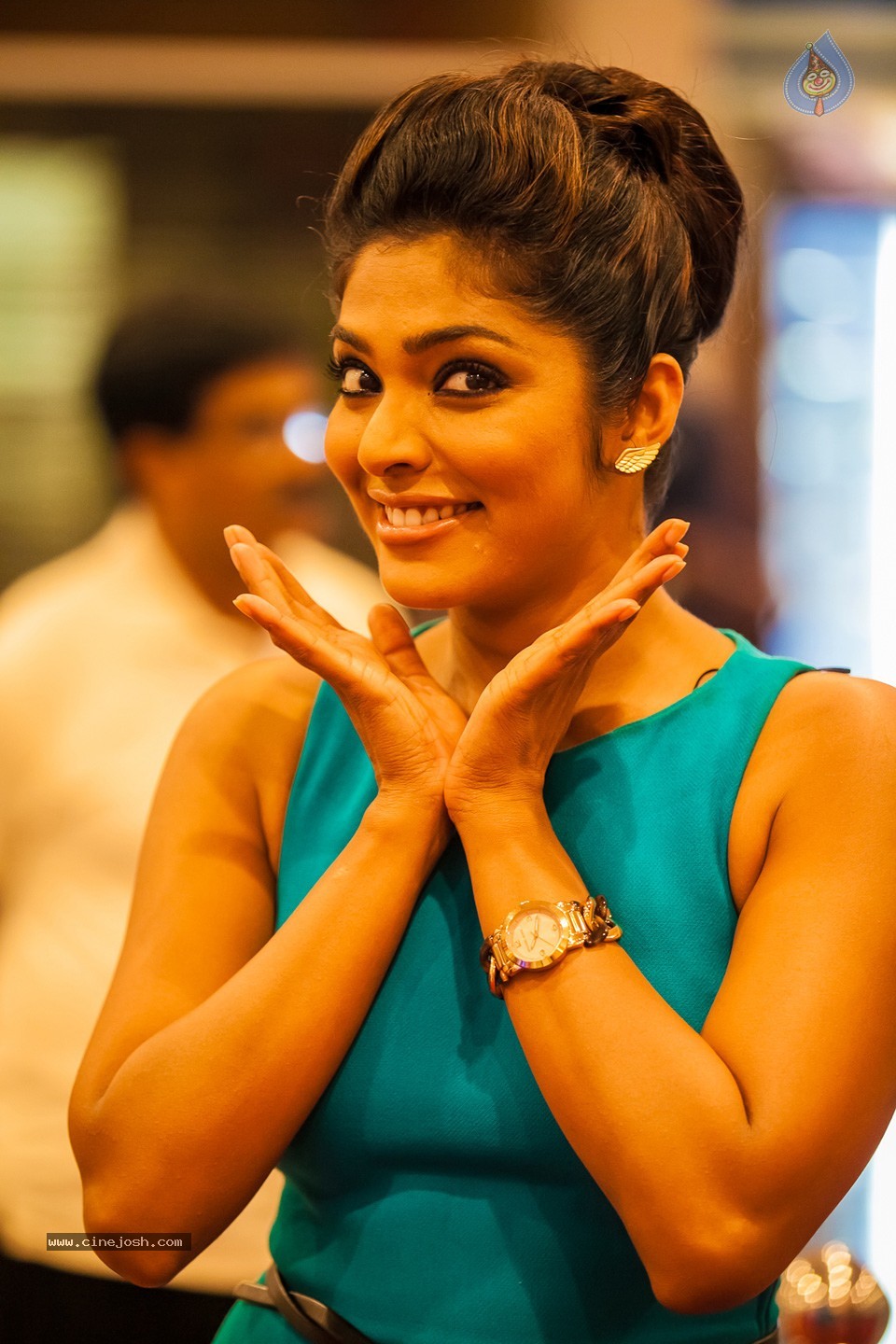 Stars at SIIMA 2013 Awards 02 - 125 / 204 photos
