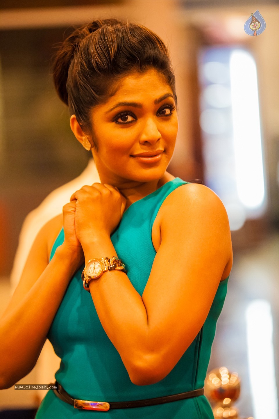 Stars at SIIMA 2013 Awards 02 - 143 / 204 photos