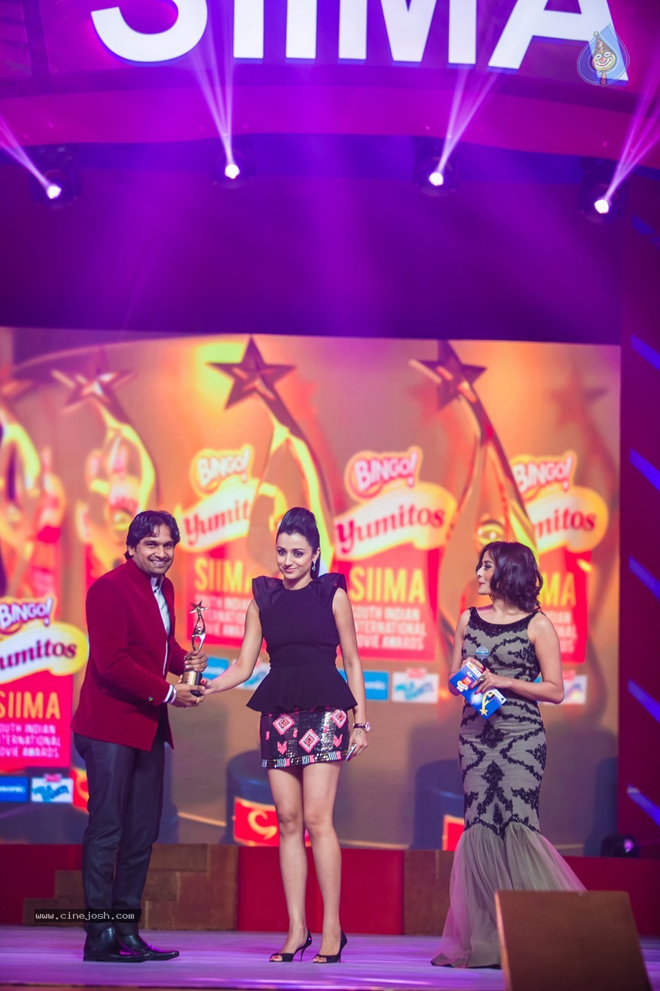 Stars at SIIMA 2013 Awards 02 - 151 / 204 photos