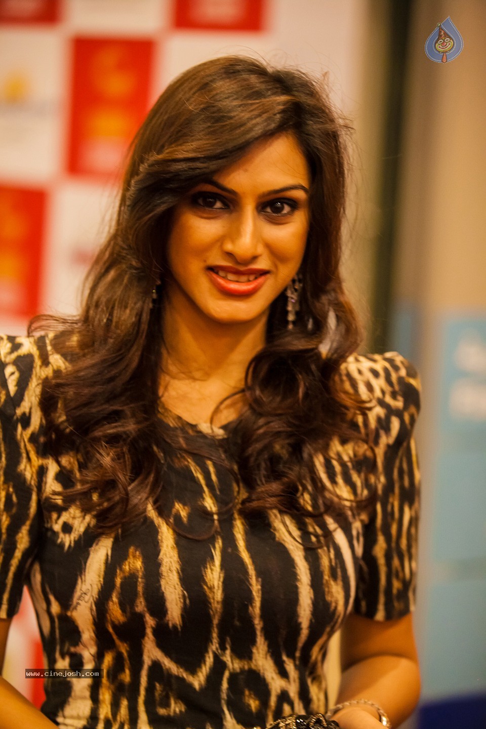 Stars at SIIMA 2013 Awards 02 - 155 / 204 photos
