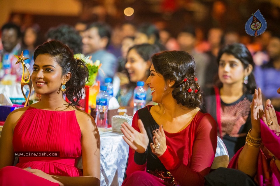 Stars at SIIMA 2013 Awards 02 - 157 / 204 photos