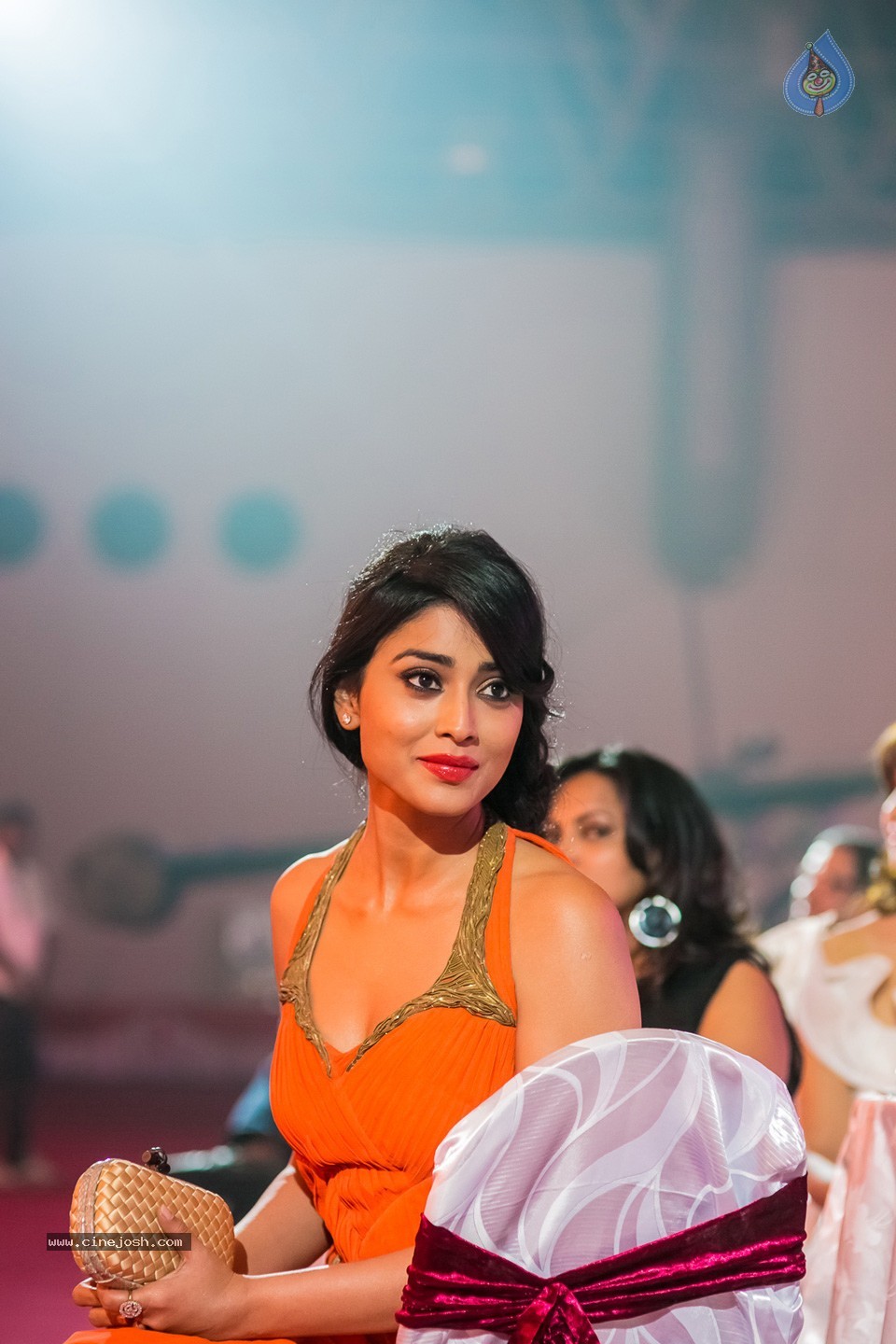 Stars at SIIMA 2013 Awards 02 - 165 / 204 photos