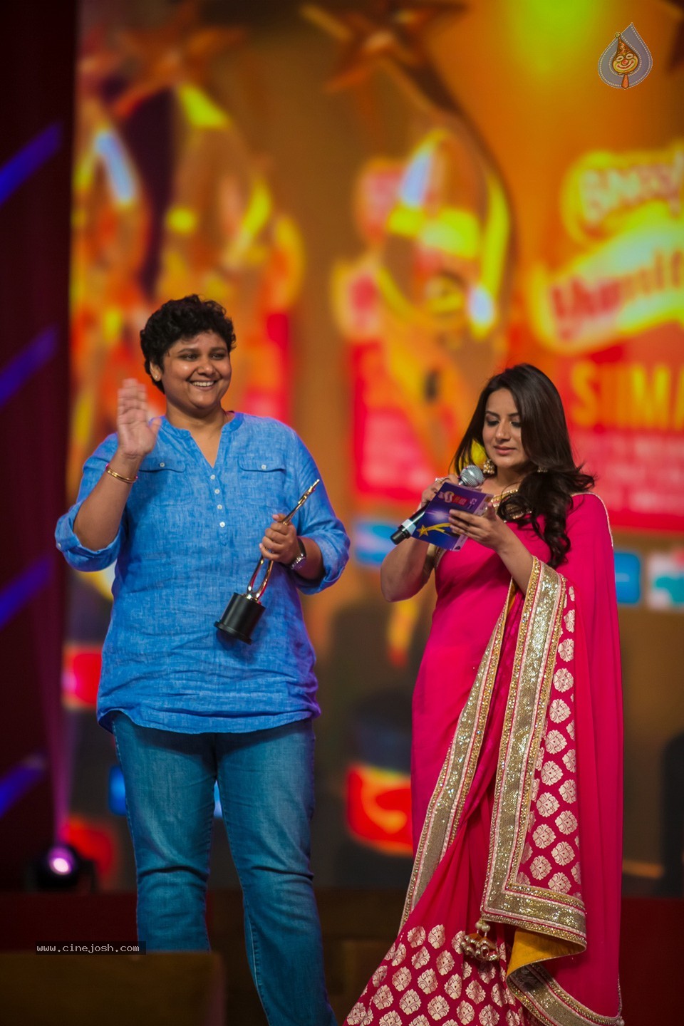 Stars at SIIMA 2013 Awards 02 - 166 / 204 photos