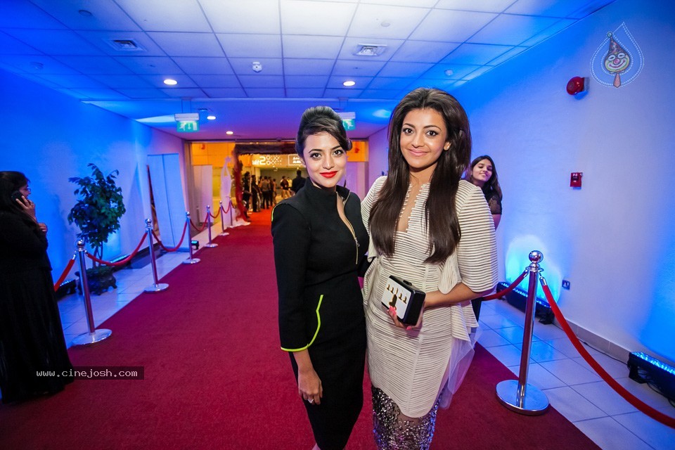 Stars at SIIMA 2013 Awards 02 - 171 / 204 photos