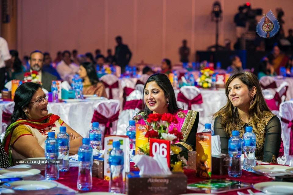 Stars at SIIMA 2013 Awards 02 - 179 / 204 photos