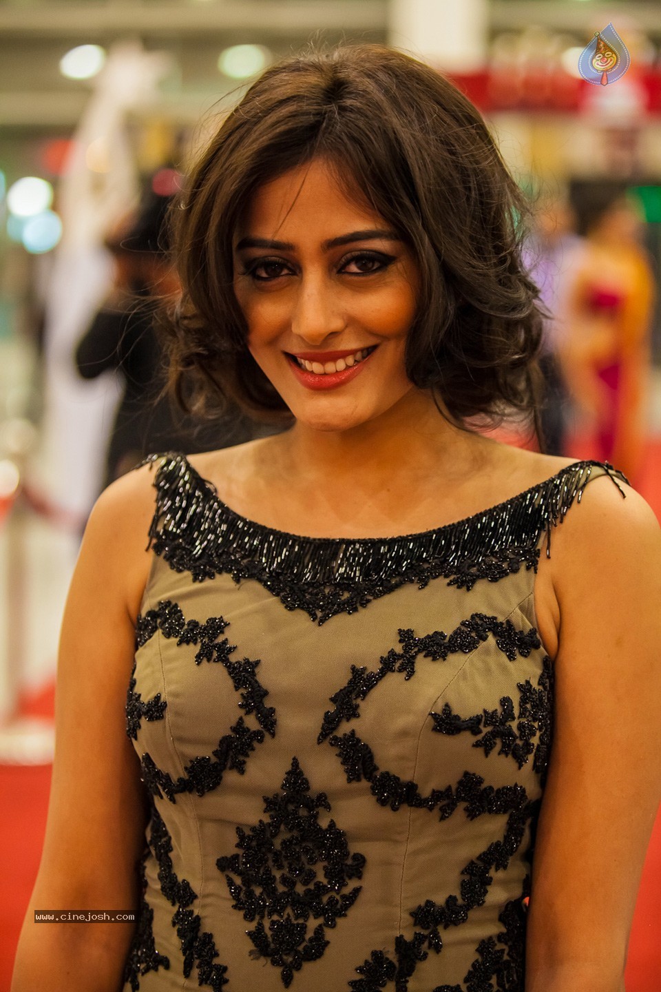 Stars at SIIMA 2013 Awards 02 - 181 / 204 photos