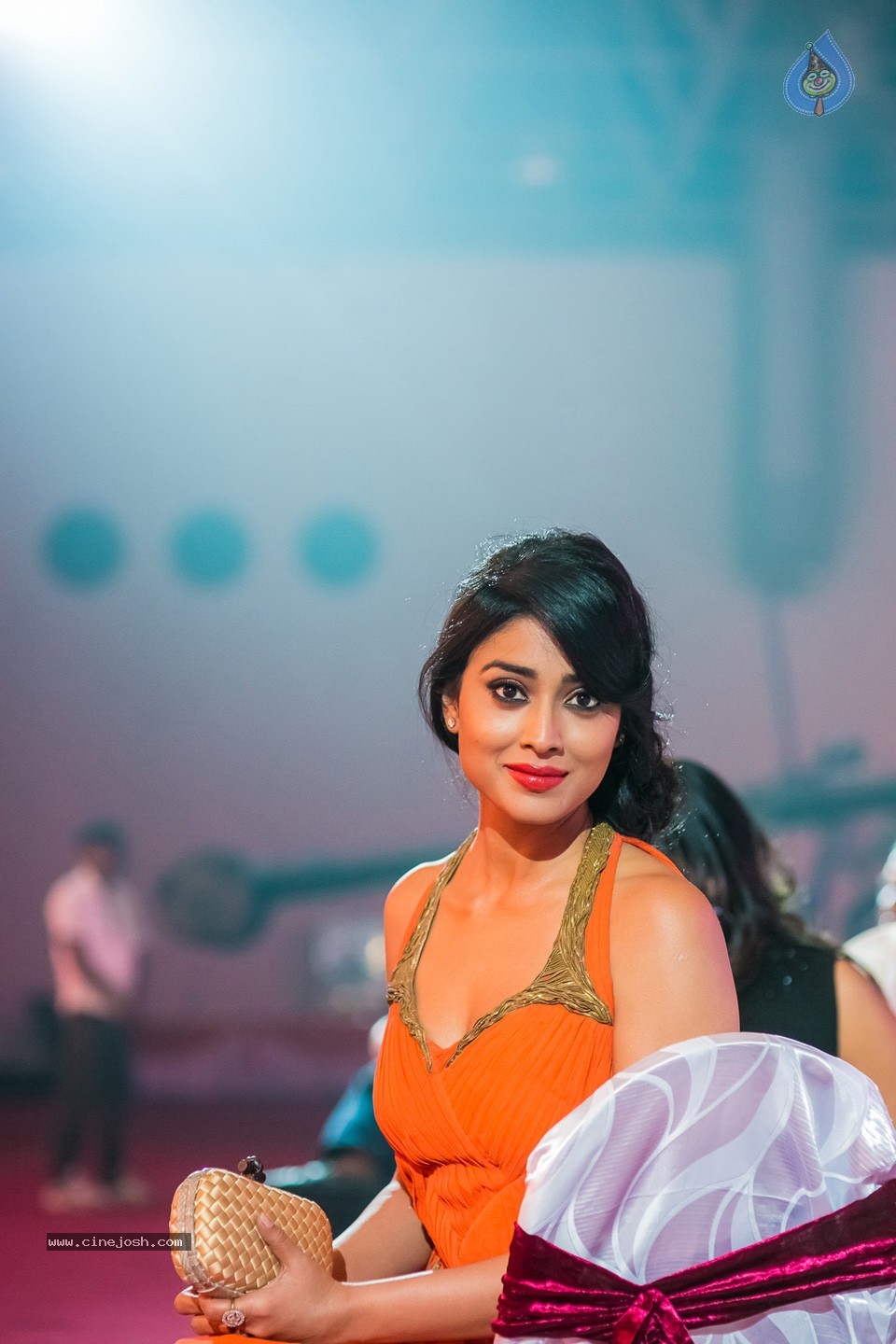 Stars at SIIMA 2013 Awards 02 - 190 / 204 photos