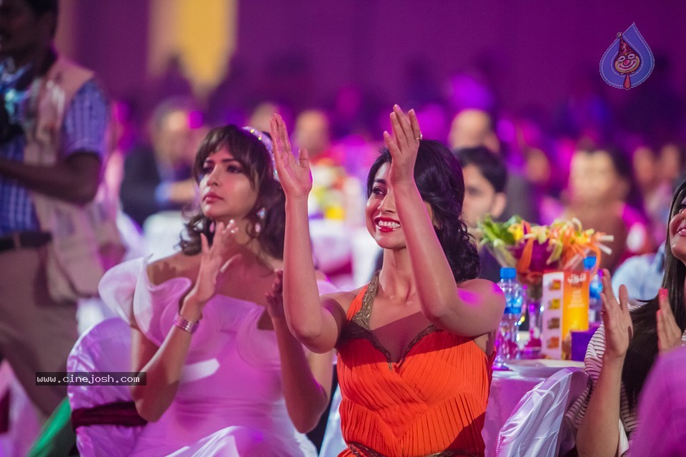 Stars at SIIMA 2013 Awards 02 - 193 / 204 photos