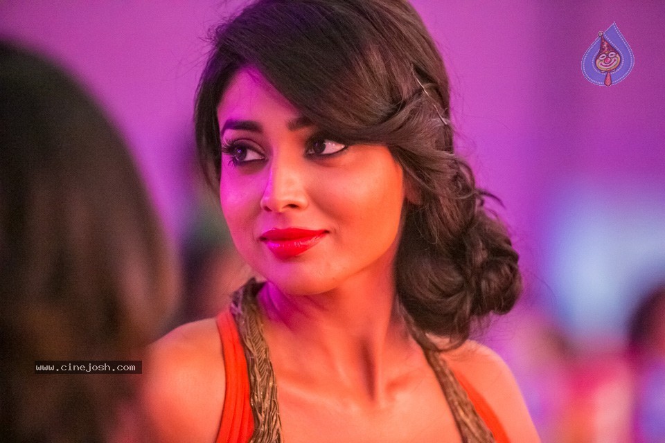 Stars at SIIMA 2013 Awards 02 - 199 / 204 photos