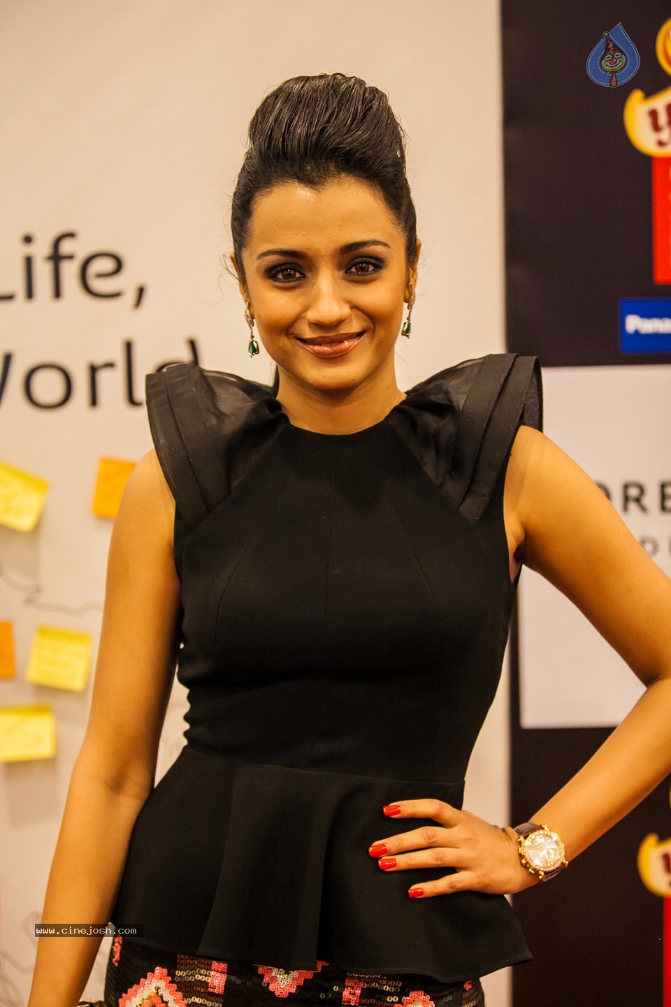 Stars at SIIMA 2013 Awards 01 - 67 / 100 photos