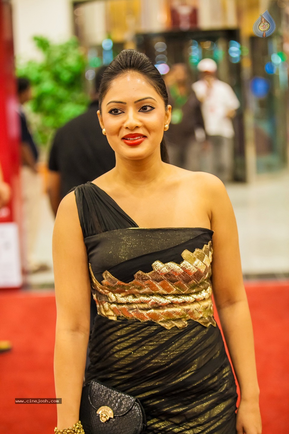 Stars at SIIMA 2013 Awards 01 - 78 / 100 photos