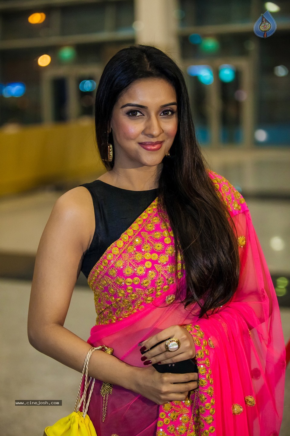 Stars at SIIMA 2013 Awards 01 - 95 / 100 photos