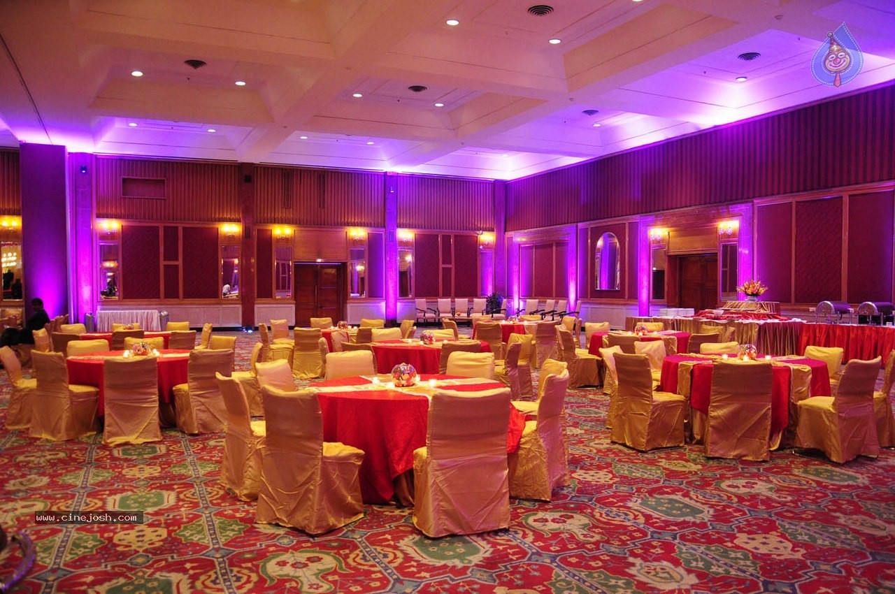 Subbarami Reddy Grand Son Wedding Reception at Delhi 01 - 23 / 246 photos