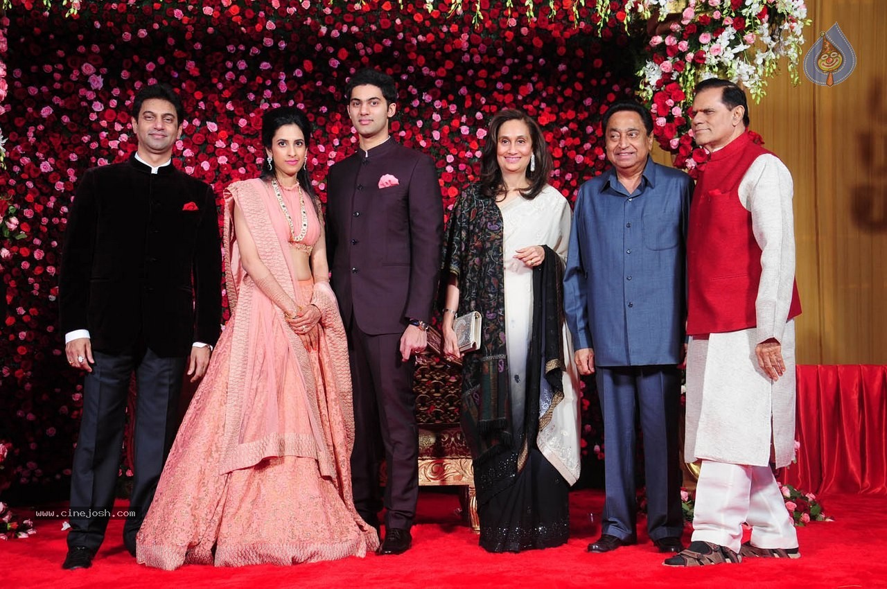 Subbarami Reddy Grand Son Wedding Reception at Delhi 01 - 60 / 246 photos