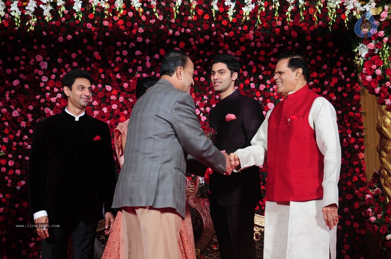 Subbarami Reddy Grand Son Wedding Reception at Delhi 01 - 65 / 246 photos