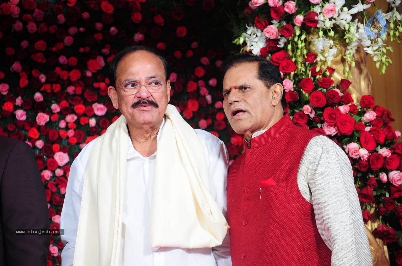 Subbarami Reddy Grand Son Wedding Reception at Delhi 01 - 91 / 246 photos