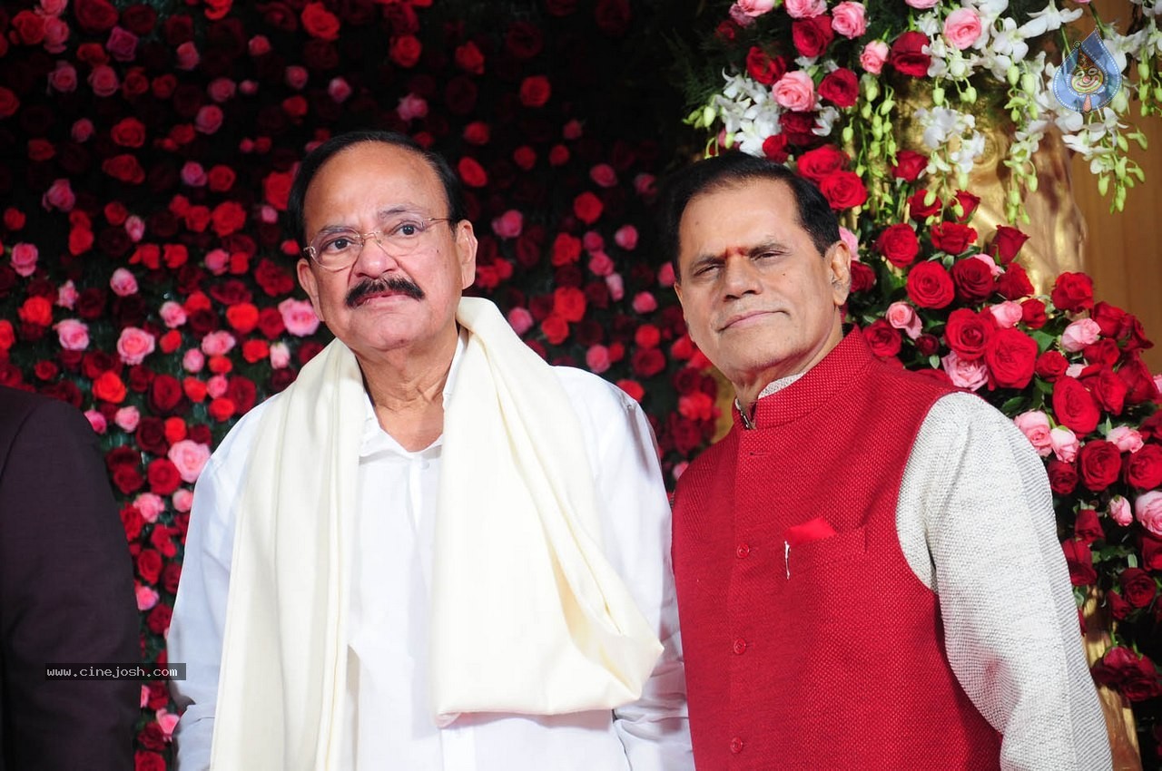 Subbarami Reddy Grand Son Wedding Reception at Delhi 01 - 94 / 246 photos
