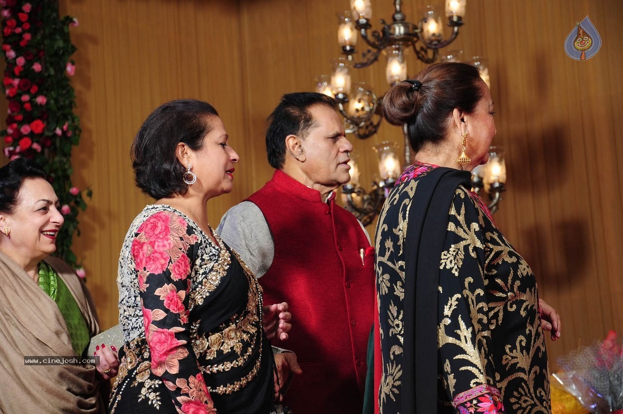 Subbarami Reddy Grand Son Wedding Reception at Delhi 02 - 3 / 246 photos
