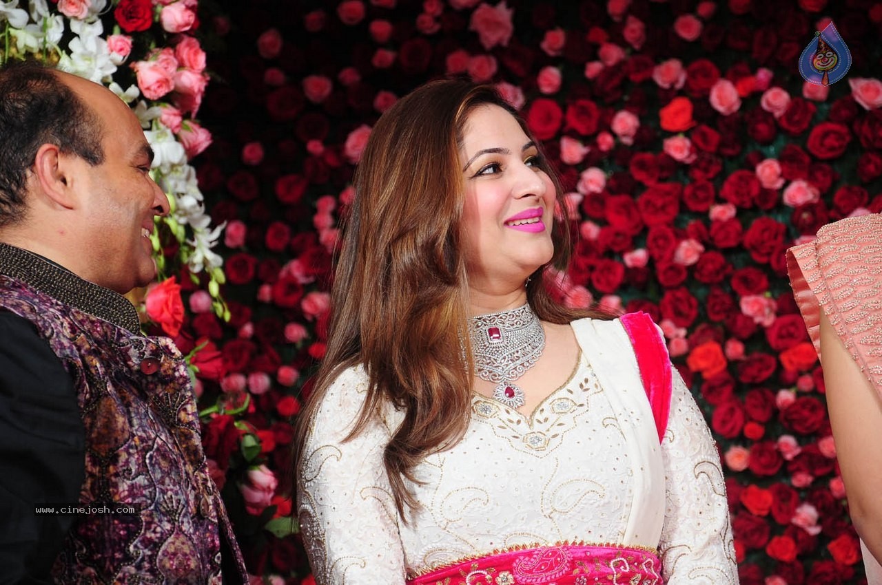 Subbarami Reddy Grand Son Wedding Reception at Delhi 02 - 180 / 246 photos