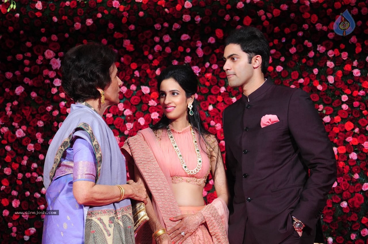 Subbarami Reddy Grand Son Wedding Reception at Delhi 02 - 229 / 246 photos