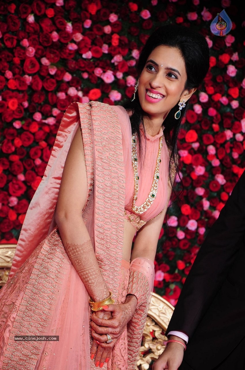 Subbarami Reddy Grand Son Wedding Reception at Delhi 02 - 233 / 246 photos