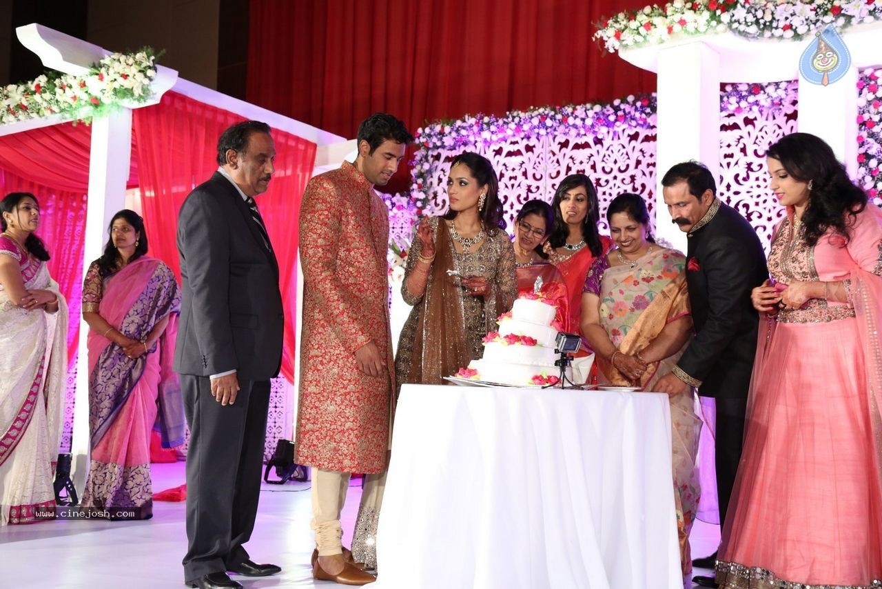 Sunil and Leela Wedding Reception - 23 / 96 photos