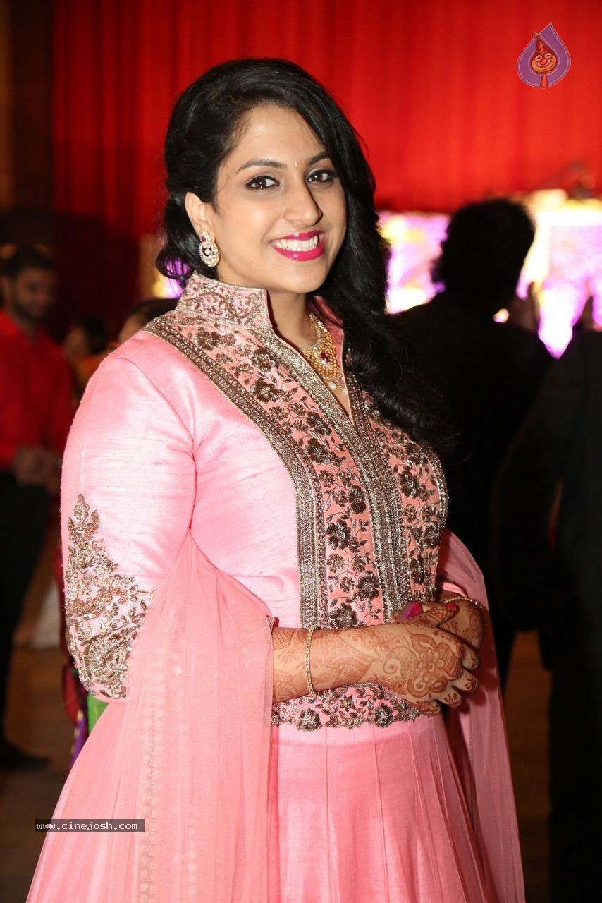 Sunil and Leela Wedding Reception - 25 / 96 photos