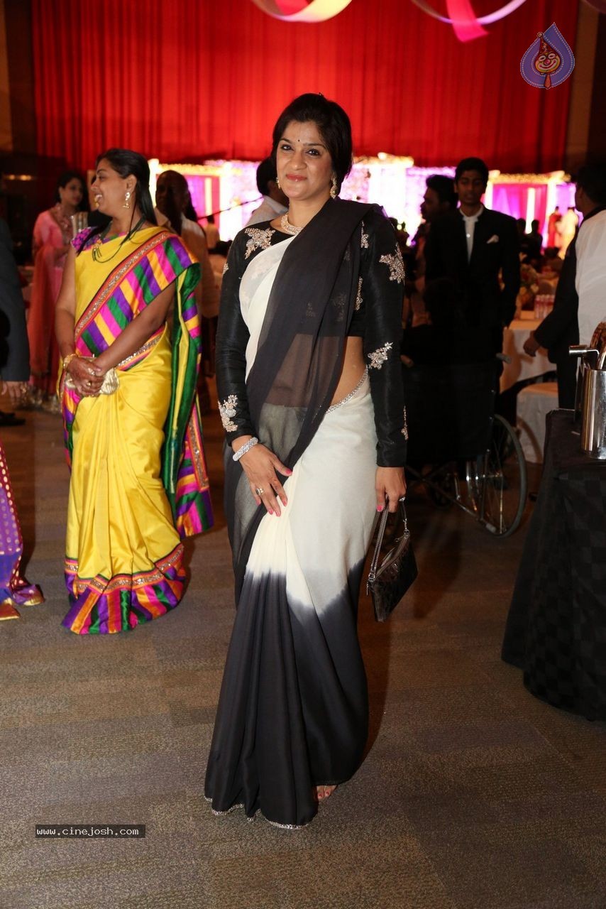 Sunil and Leela Wedding Reception - 66 / 96 photos
