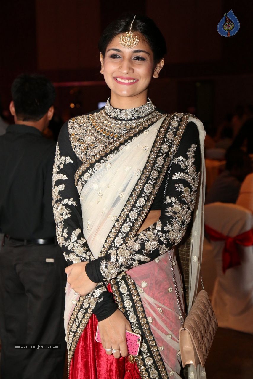 Sunil and Leela Wedding Reception - 88 / 96 photos