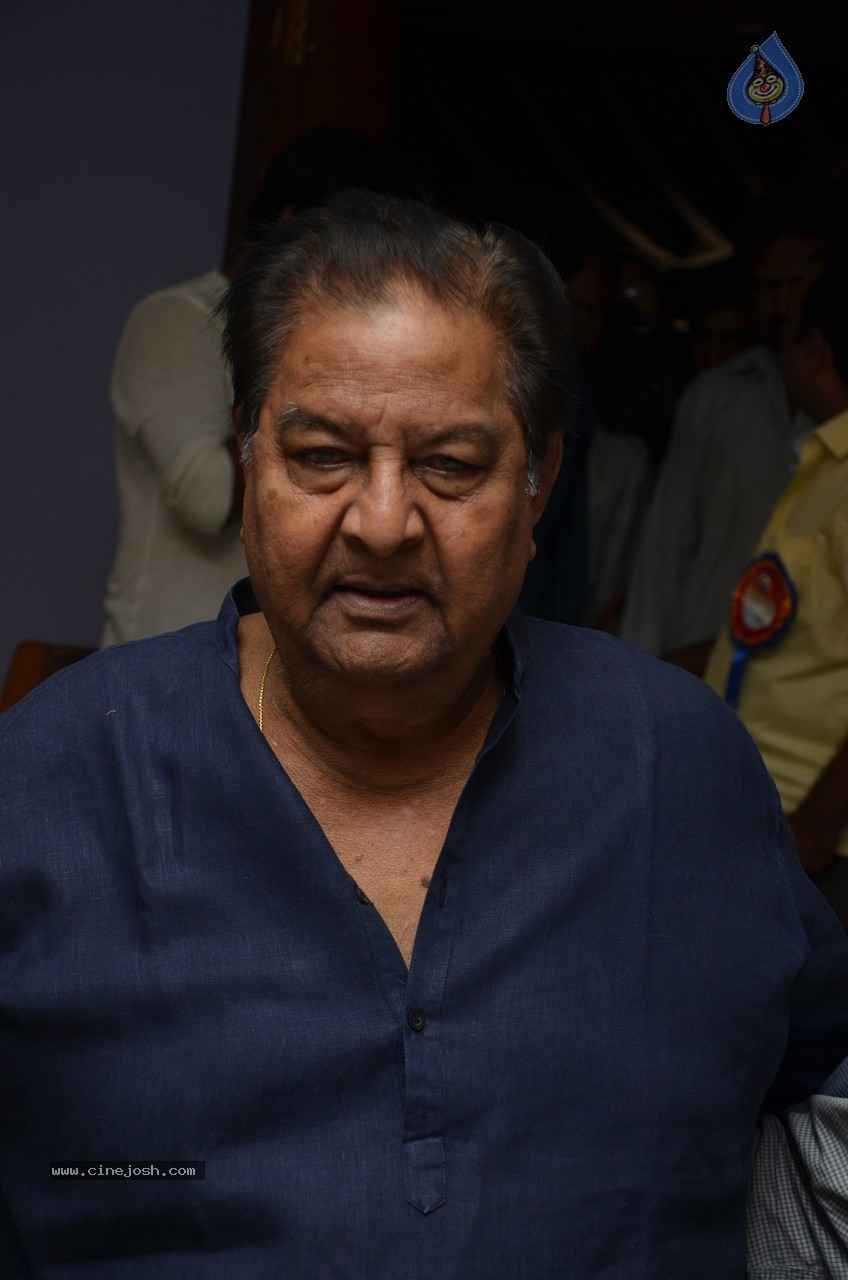SV Ranga Rao Samagra Cine Jeevitham Book Launch - 59 / 195 photos