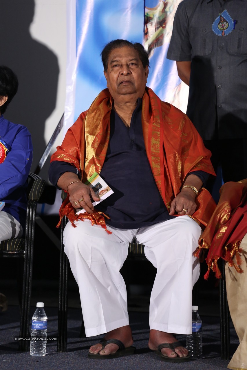 SV Ranga Rao Samagra Cine Jeevitham Book Launch - 88 / 195 photos