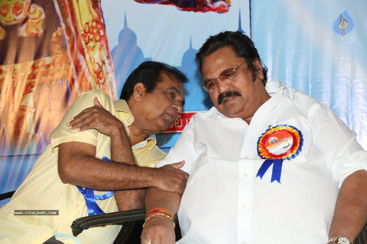 SV Ranga Rao Samagra Cine Jeevitham Book Launch - 132 / 195 photos