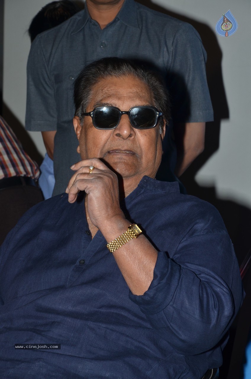 SV Ranga Rao Samagra Cine Jeevitham Book Launch - 150 / 195 photos