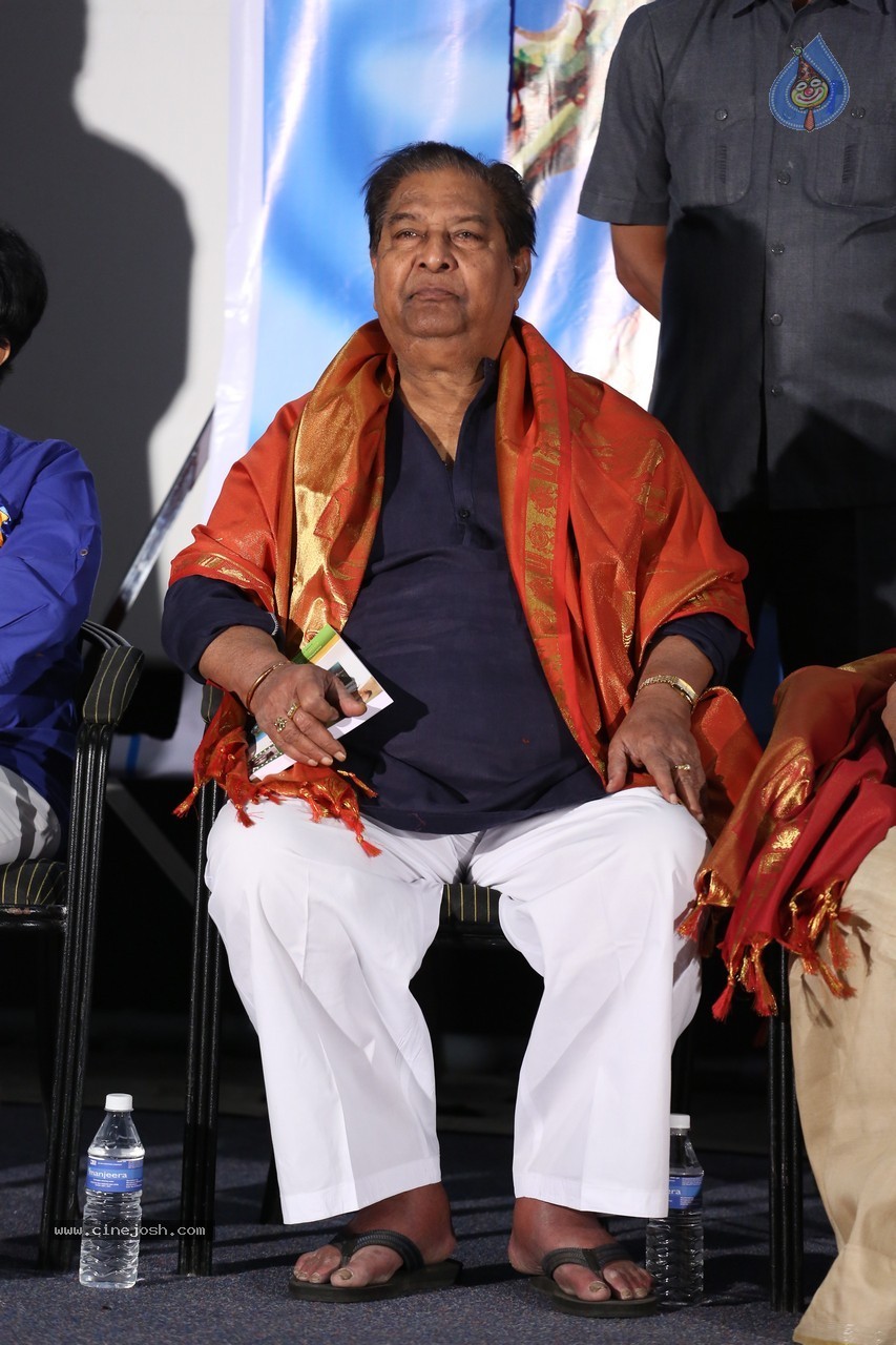 SV Ranga Rao Samagra Cine Jeevitham Book Launch - 170 / 195 photos