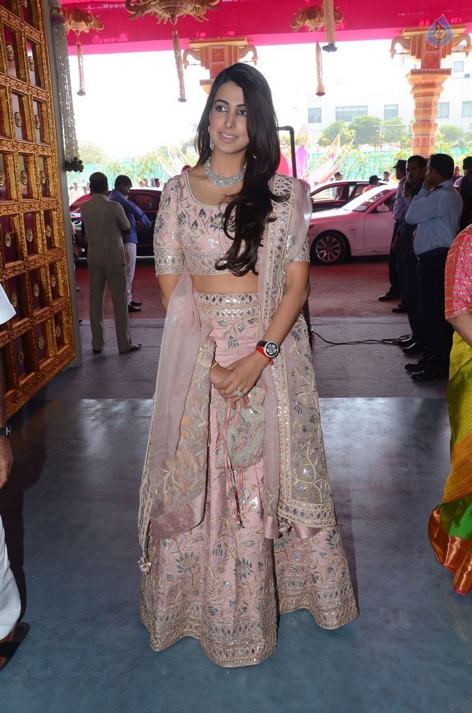 T. Subbarami Reddy Grandson Keshav Wedding Photos 4 - 45 / 101 photos
