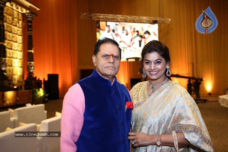 T Subbarami Reddy Grandson Anirudh Wedding Photos - 21 / 76 photos
