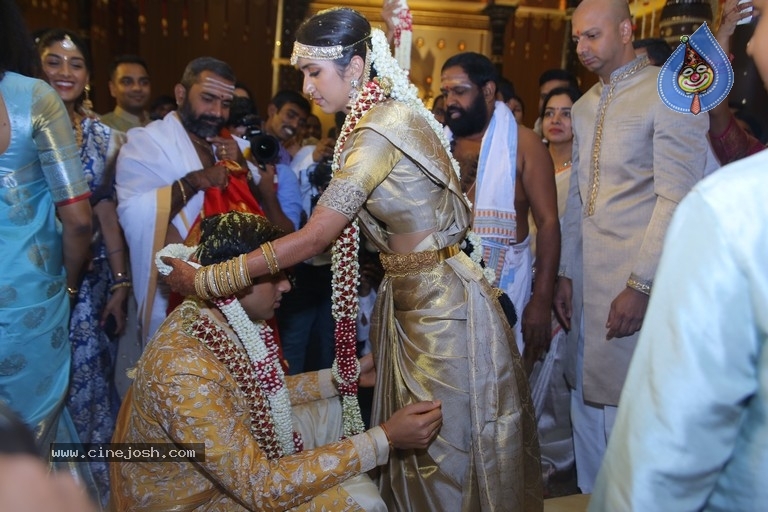 T Subbarami Reddy Grandson Anirudh Wedding Photos - 22 / 76 photos