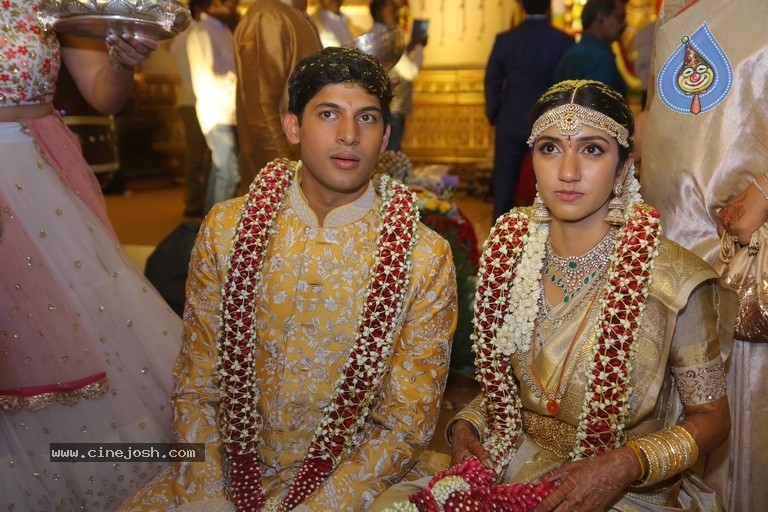 T Subbarami Reddy Grandson Anirudh Wedding Photos - 58 / 76 photos