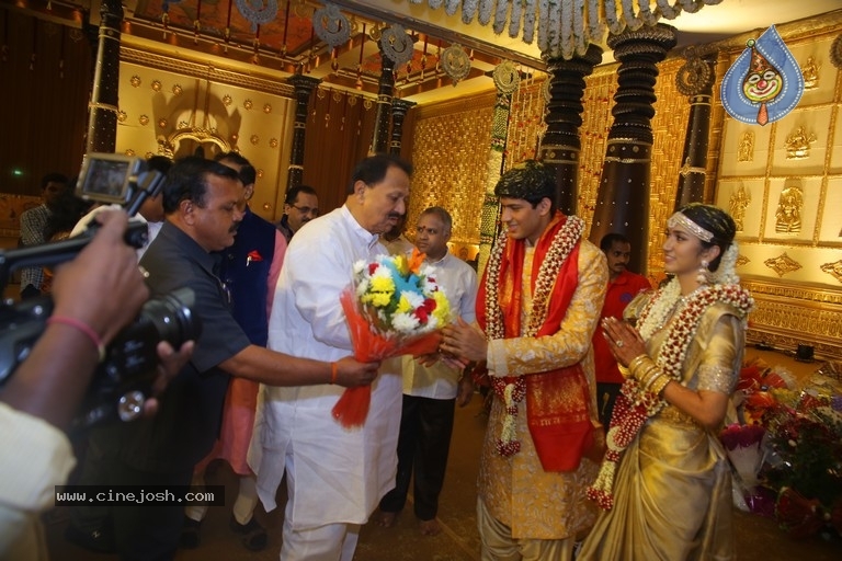 T Subbarami Reddy Grandson Anirudh Wedding Photos - 59 / 76 photos