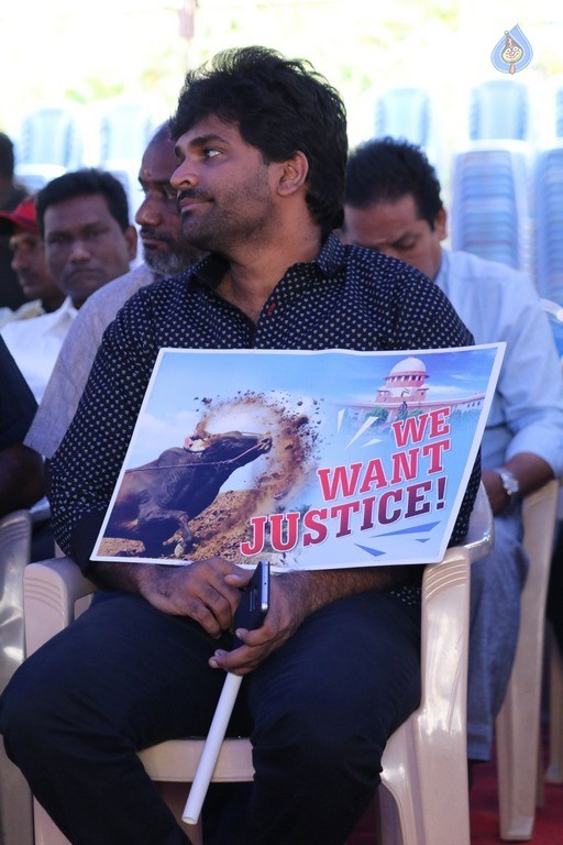 Tamil Stars at Jallikattu Hunger Strike - 30 / 51 photos