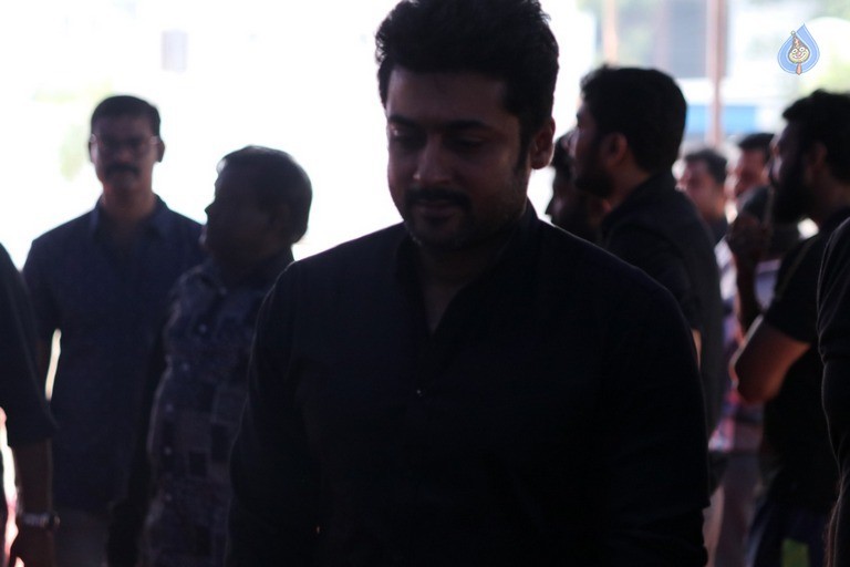 Tamil Stars at Jallikattu Hunger Strike - 44 / 51 photos