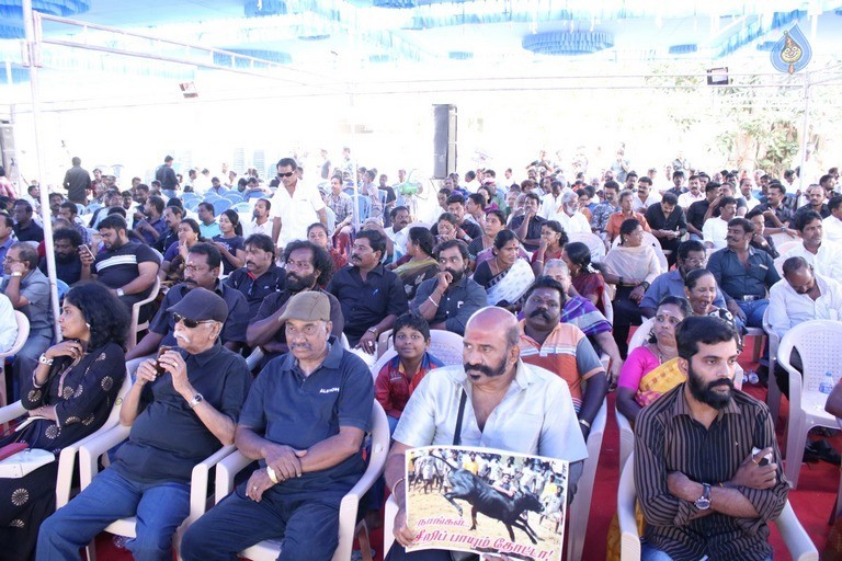 Tamil Stars at Jallikattu Support Protest - 5 / 27 photos