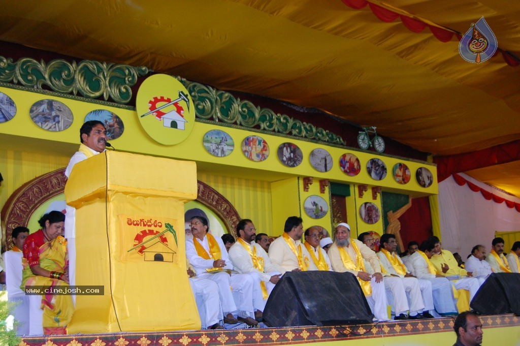 TDP Mahanadu 2013 Photos - 1 / 150 photos