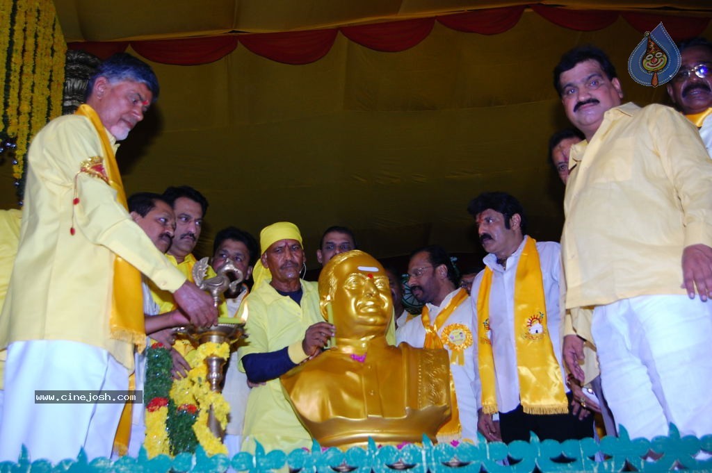 TDP Mahanadu 2013 Photos - 3 / 150 photos