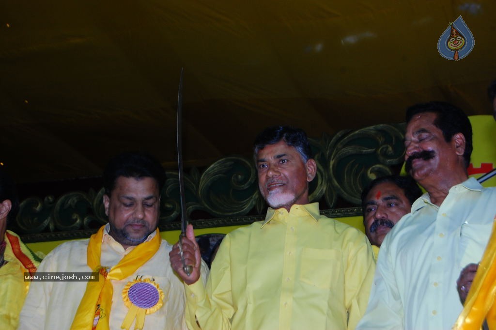 TDP Mahanadu 2013 Photos - 6 / 150 photos