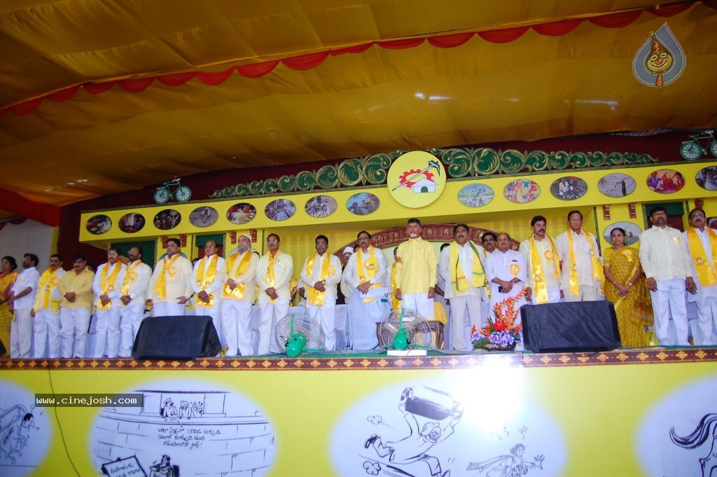 TDP Mahanadu 2013 Photos - 7 / 150 photos