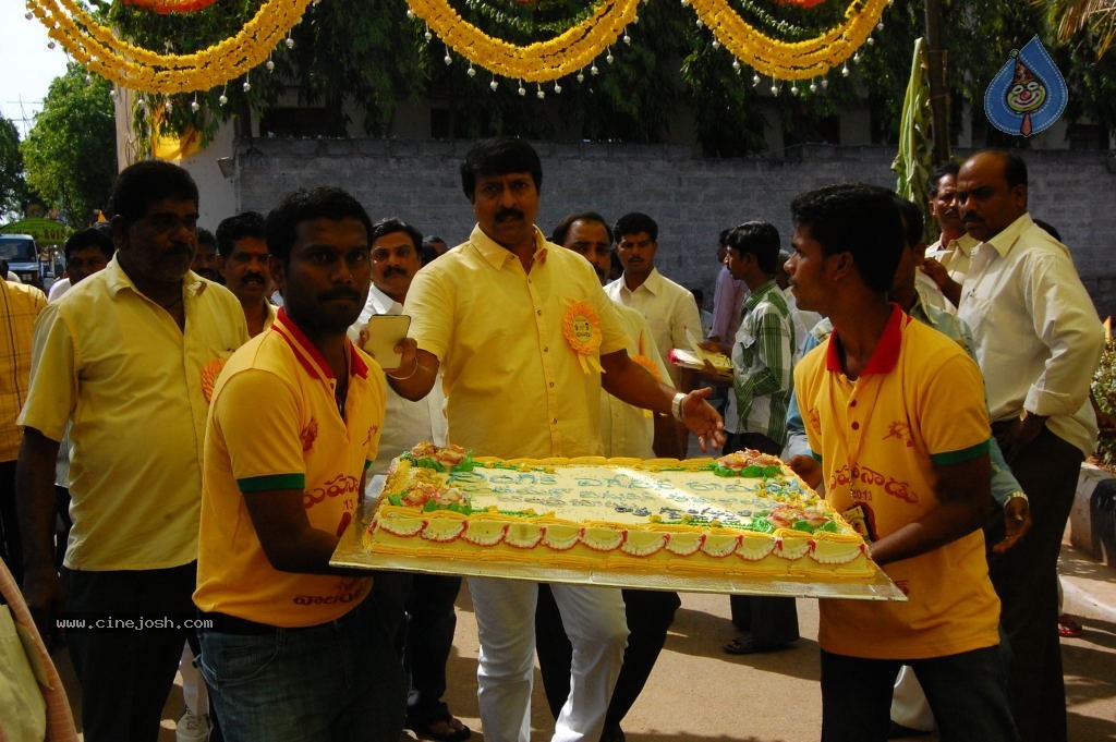 TDP Mahanadu 2013 Photos - 8 / 150 photos