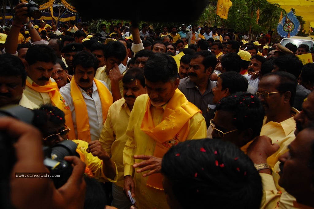 TDP Mahanadu 2013 Photos - 9 / 150 photos
