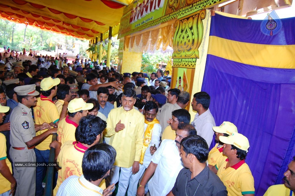 TDP Mahanadu 2013 Photos - 10 / 150 photos