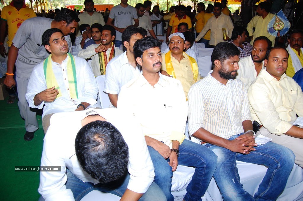 TDP Mahanadu 2013 Photos - 11 / 150 photos